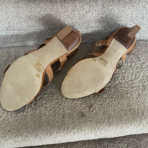 Gladiator Gorgeous - Picture 3 of 5